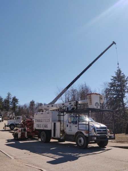 Branded Timber Falls crane truck at a tree project in Dover