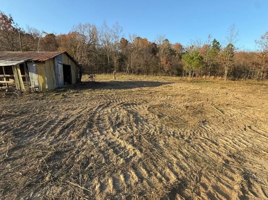 Open property after forestry mulching and clearing