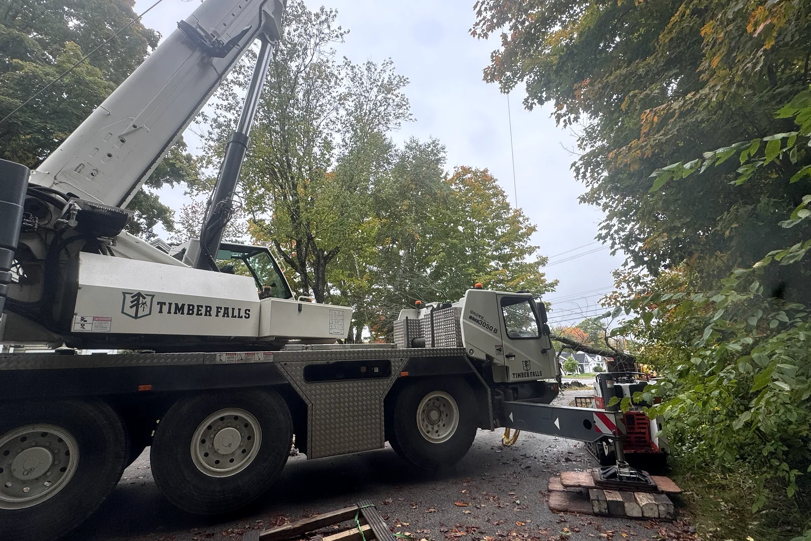 Timber Falls crane with its stabilizers extended at a tree-removal jobsite