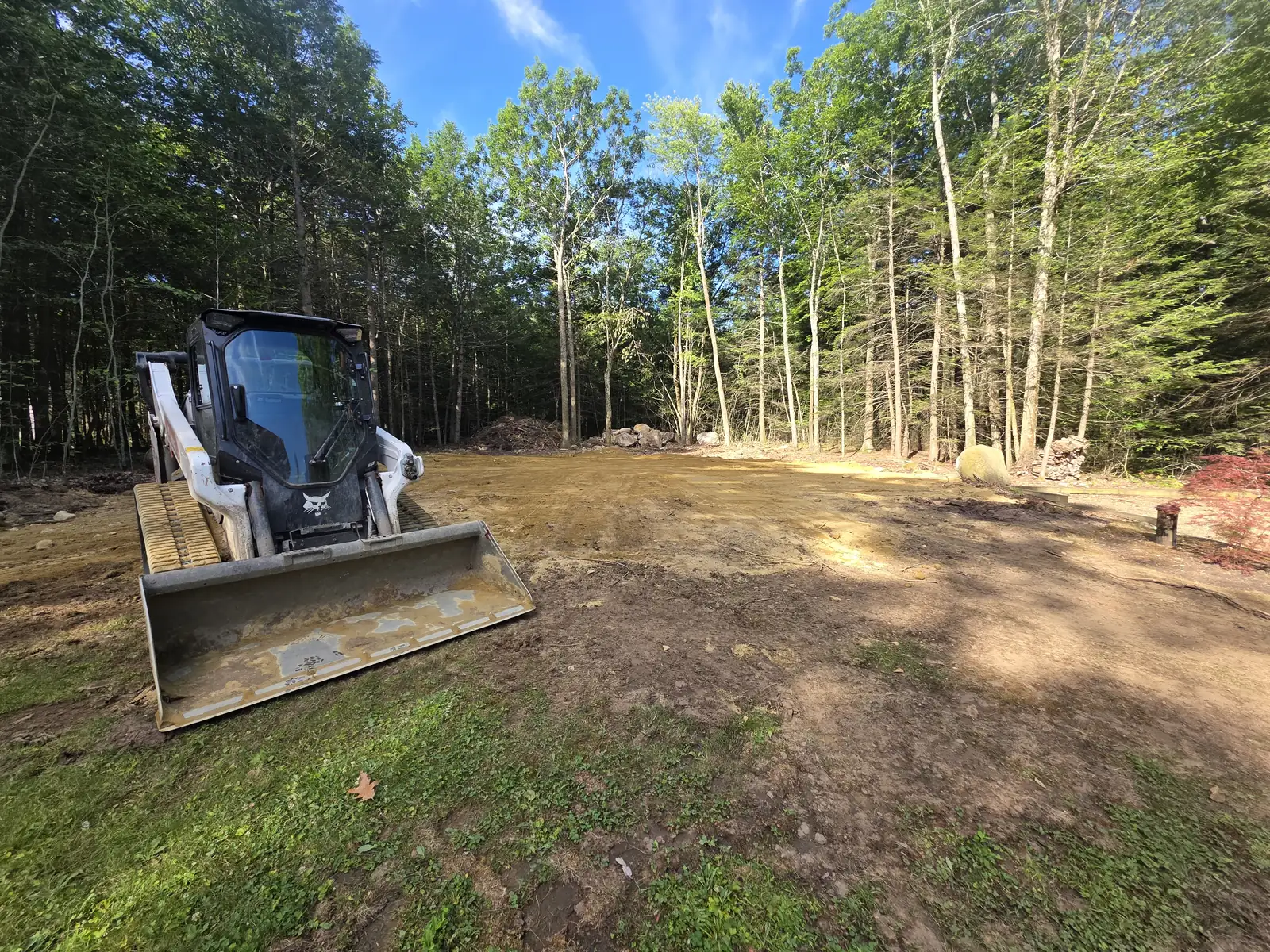 Compact loader beside freshly graded ground at a wooded property