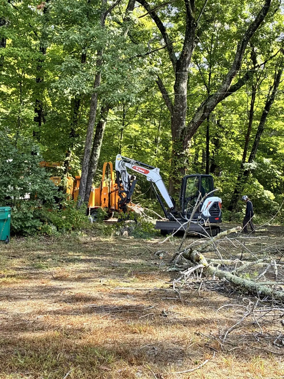 Compact excavator working among trees and cut branches