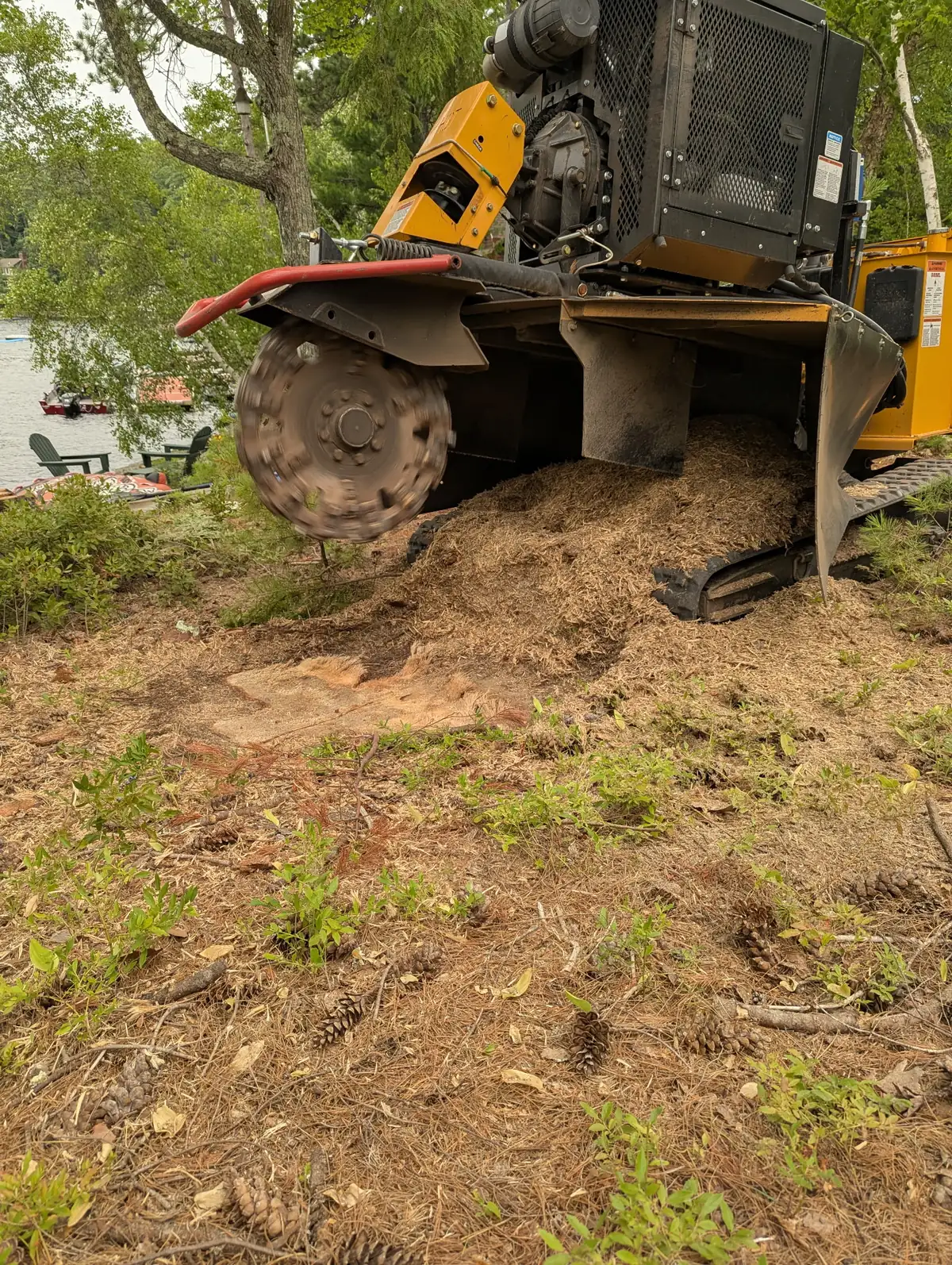Stump grinder cutting wheel above a bed of fresh wood chips
