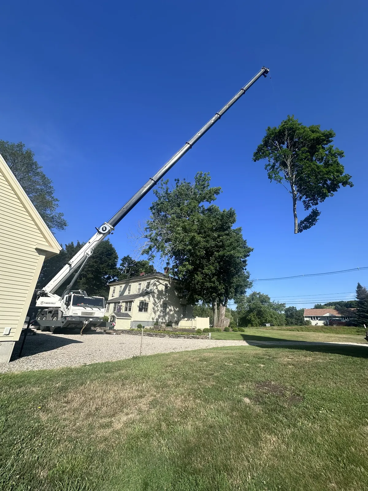 Timber Falls crane lifting a leafy tree section beside a house