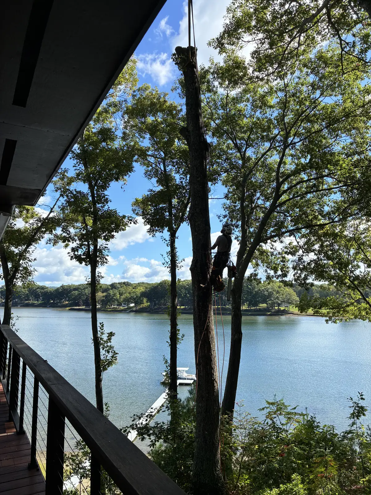Timber Falls climber secured to a tree trunk beside a lake