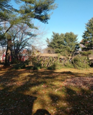 Land & Lot Clearing