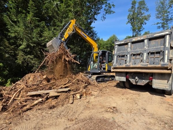 IMG_20201109_093902807_HDR-1280w